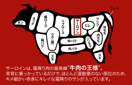 【全6回定期便】黒毛和牛 A5ランク サーロインブロック 1.5kg 冷蔵 国産牛 ステーキ ブロック肉 BBQ