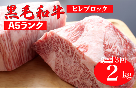 【3回定期便】国産 黒毛和牛 ヒレブロック 2kg A5 ヒレブロック