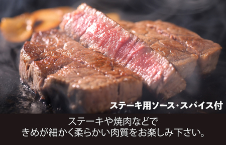 【全12回定期便】国産 黒毛和牛 ヒレブロック 500g A5 ヒレブロック