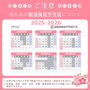 柿の葉寿司（28個入り）《やっこ》