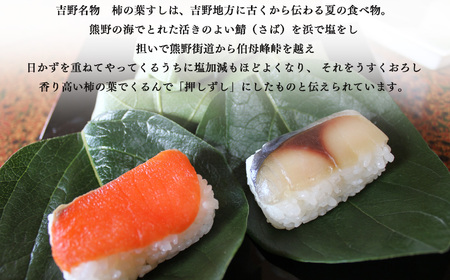 柿の葉すし28ケ入（さば・さけ各14ケ）《柿の葉すし　醍予》