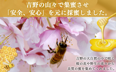 日本蜜蜂ハチミツ450g《吉野ハニー》