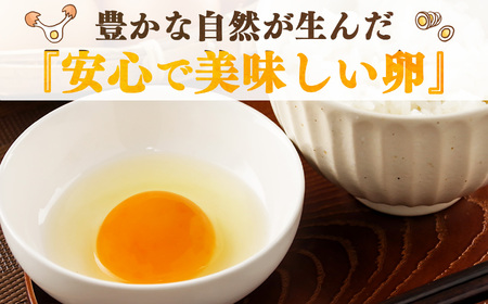 吉野こだわり卵　のざわ卵 32個入り (4コ入×4）×2箱《野澤養鶏株式会社》