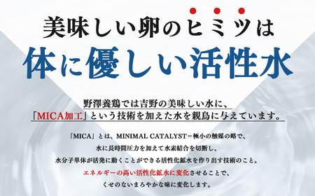 吉野こだわり卵　のざわ卵 32個入り (4コ入×4）×2箱《野澤養鶏株式会社》