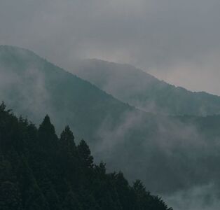 nifu オリジナル天然精油アロマミスト『mezame』 50ml×1本 リラックス ひのき 奈良 吉野町