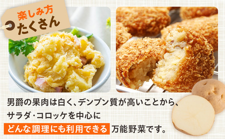 R8年産先行受付 じゃがいも 5kg 特別栽培（男爵） | ジャガイモ 芋 男爵 馬鈴薯 大容量 新鮮 野菜 煮物 カレー シチュー ポテト 保存 特産 産地直送 北海道 津別町 送料無料