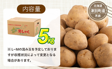 R8年産先行受付 じゃがいも 5kg 特別栽培（男爵） | ジャガイモ 芋 男爵 馬鈴薯 大容量 新鮮 野菜 煮物 カレー シチュー ポテト 保存 特産 産地直送 北海道 津別町 送料無料
