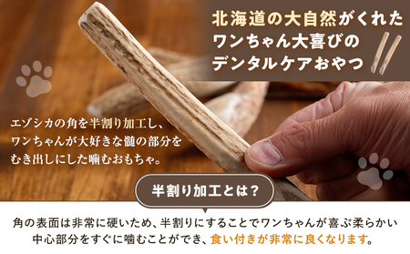 プレシカ 鹿の角 Lサイズ (15センチ半割り1本) | 犬 ペット用 愛犬用 おもちゃ 玩具 鹿角 エゾシカ 歯みがき ガム デンタルケア ストレス発散 天然 無添加 北海道 津別町 送料無料