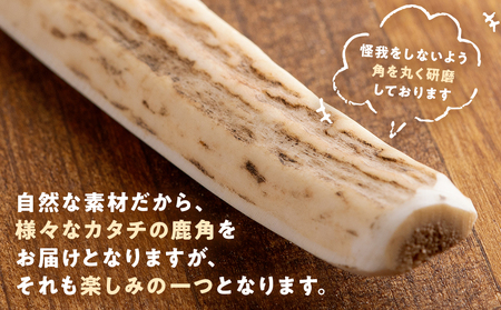 プレシカ 鹿の角 Lサイズ (15センチ半割り1本) | 犬 ペット用 愛犬用 おもちゃ 玩具 鹿角 エゾシカ 歯みがき ガム デンタルケア ストレス発散 天然 無添加 北海道 津別町 送料無料
