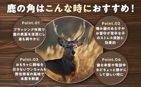 プレシカ 鹿の角 Lサイズ (15センチ半割り1本) | 犬 ペット用 愛犬用 おもちゃ 玩具 鹿角 エゾシカ 歯みがき ガム デンタルケア ストレス発散 天然 無添加 北海道 津別町 送料無料