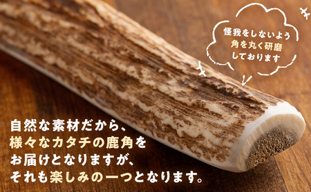 プレシカ 鹿の角 LLサイズ （15センチ半割り１本） | 犬 ペット用 愛犬用 おもちゃ 玩具 鹿角 エゾシカ 歯みがき ガム デンタルケア ストレス発散 天然 無添加 北海道 津別町 送料無料 