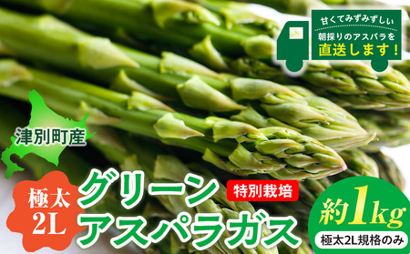 【先行受付】R8年産 アスパラガス （極太2L） 特別栽培 約1kg 細川農園 | グリーンアスパラ グリーンアスパラガス アスパラ 大容量 野菜 春野菜 朝採れ 新鮮 極太 自然 国産 家庭用 旬 特産 産地直送 北海道 津別町 送料無料