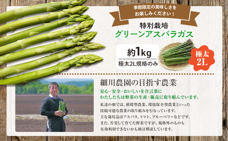 【先行受付】R8年産 アスパラガス （極太2L） 特別栽培 約1kg 細川農園 | グリーンアスパラ グリーンアスパラガス アスパラ 大容量 野菜 春野菜 朝採れ 新鮮 極太 自然 国産 家庭用 旬 特産 産地直送 北海道 津別町 送料無料