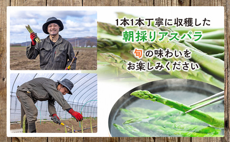 【先行受付】R8年産 アスパラガス （極太2L） 特別栽培 約1kg 細川農園 | グリーンアスパラ グリーンアスパラガス アスパラ 大容量 野菜 春野菜 朝採れ 新鮮 極太 自然 国産 家庭用 旬 特産 産地直送 北海道 津別町 送料無料
