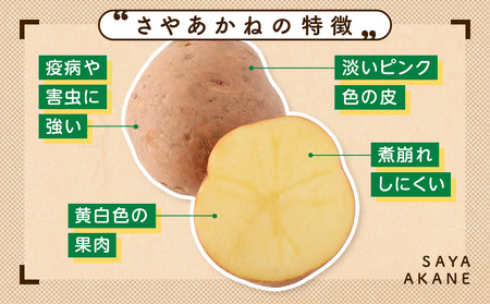 【数量限定】R8年産先行受付 じゃがいも（さやあかね） 有機栽培  10kg | ジャガイモ 芋 さやあかね 馬鈴薯 大容量 新鮮 野菜 煮物 コロッケ ポテトサラダ ポテト 保存 特産 産地直送 北海道 津別町 送料無料