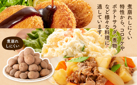 【数量限定】R8年産先行受付 じゃがいも（さやあかね） 有機栽培  10kg | ジャガイモ 芋 さやあかね 馬鈴薯 大容量 新鮮 野菜 煮物 コロッケ ポテトサラダ ポテト 保存 特産 産地直送 北海道 津別町 送料無料