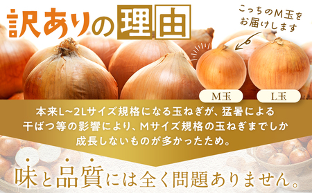 【訳あり】数量限定 特別栽培玉ねぎ M玉 20kg | 訳あり M玉 玉ねぎ たまねぎ タマネギ 玉葱 大容量 オニオン 甘い 減農薬 特別栽培 国産 カレー ハンバーグ 煮込み 炒め物 北海道 津別町 送料無料