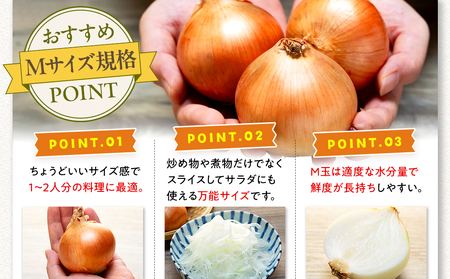 【訳あり】数量限定 特別栽培玉ねぎ M玉 20kg | 訳あり M玉 玉ねぎ たまねぎ タマネギ 玉葱 大容量 オニオン 甘い 減農薬 特別栽培 国産 カレー ハンバーグ 煮込み 炒め物 北海道 津別町 送料無料