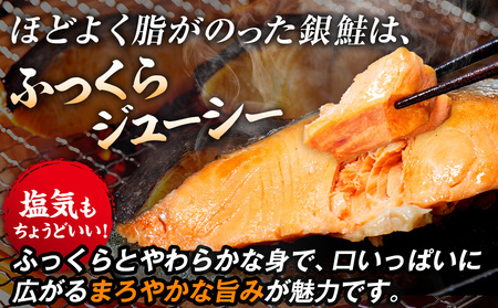 塩銀鮭(甘口) 900g(10~12切れ) | 銀鮭 塩鮭 さけ しゃけ サーモン 海鮮 切身 厚切り 魚介類 冷凍 パック おかず 和食 洋食 朝食 送料無料