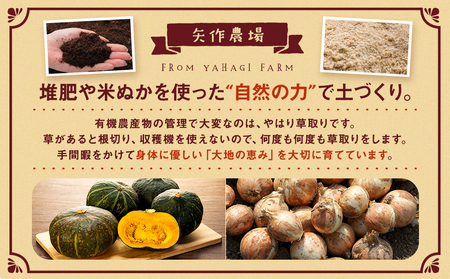 【先行受付】R8年産 有機栽培玉ねぎ・かぼちゃセット 合計20kg | 玉ねぎ たまねぎ タマネギ 玉葱 かぼちゃ カボチャ 南瓜 セット 詰め合わせ 大容量 オニオン パンプキン 甘い 有機栽培 国産 産地直送 北海道 津別町 送料無料
