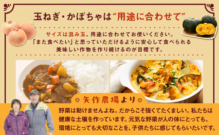 【先行受付】R8年産 有機栽培玉ねぎ・かぼちゃセット 合計20kg | 玉ねぎ たまねぎ タマネギ 玉葱 かぼちゃ カボチャ 南瓜 セット 詰め合わせ 大容量 オニオン パンプキン 甘い 有機栽培 国産 産地直送 北海道 津別町 送料無料