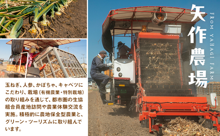 【先行受付】R8年産 有機栽培玉ねぎ・かぼちゃセット 合計20kg | 玉ねぎ たまねぎ タマネギ 玉葱 かぼちゃ カボチャ 南瓜 セット 詰め合わせ 大容量 オニオン パンプキン 甘い 有機栽培 国産 産地直送 北海道 津別町 送料無料