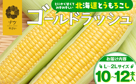 【先行受付】R8年産 トウモロコシ（ゴールドラッシュ） 10本から12本 ピンクの八百屋 ナツやさい | とうもろこし トウモロコシ ゴールドラッシュ 旬 新鮮 野菜 夏 甘い 産地直送 北海道 津別町 送料無料 
