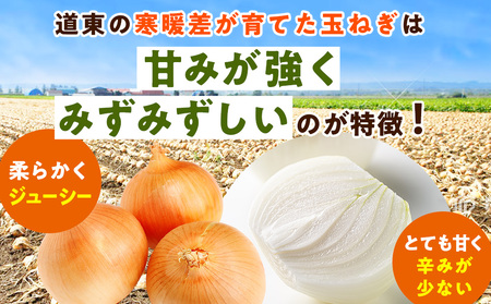 R8年産 玉ねぎ (M玉・S玉混合) 10kg オホーツクコロポックル | 北海道津別町