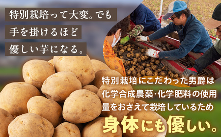 R8年産先行受付 じゃがいも 20kg 特別栽培（男爵） | ジャガイモ 芋 男爵 馬鈴薯 大容量 新鮮 野菜 煮物 カレー シチュー ポテト 保存 特産 産地直送 北海道 津別町 送料無料