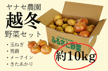 R6年産　越冬野菜セット　約10kg　ヤナセ農園/013-27087-b01A