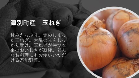 R6年産　越冬野菜セット　約10kg　ヤナセ農園/013-27087-b01A