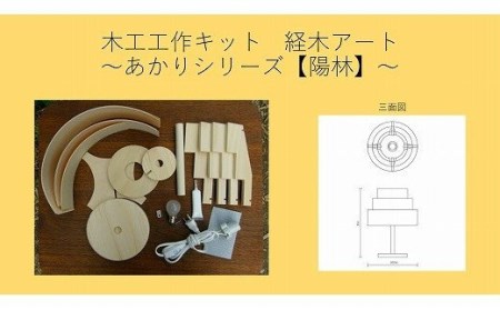 木工工作キット「陽林」　加賀谷木材/020-05046-a01H