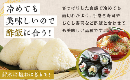 【令和7年産・早期予約受付】北海道産 津別町あっぱれ米（精米）10kg | 米 お米 新米 白米 精米 国産米 農家直送 産地直送 北海道 津別町 送料無料