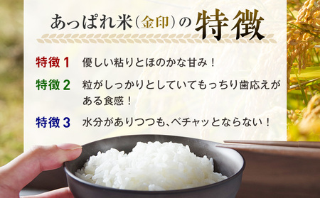 【令和7年産・早期予約受付】北海道産 津別町あっぱれ米（精米）金印 10kg | 米 お米 新米 白米 精米 国産米 農家直送 産地直送 北海道 津別町 送料無料
