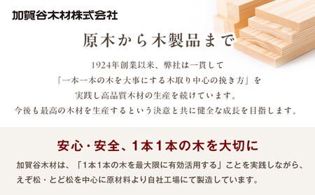 工作キット からくりメカニカルシリーズ お好きなもの２つセット 加賀谷木材 | 木工 体験 遊び おもちゃ 歴史 帆船模型 飛行機模型 自動車模型 DIY 木製 知育 親子 子ども 学習 家族 作る 遊具 北海道 津別町 送料無料