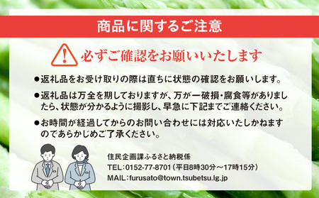 【先行受付】R8年産 アスパラガス　約1kg　特別栽培　細川農園 | グリーンアスパラ グリーンアスパラガス アスパラ 野菜 春野菜 朝採れ 新鮮 極太 サラダ 天ぷら 炒め物 旬 特産 産地直送 北海道 津別町 送料無料