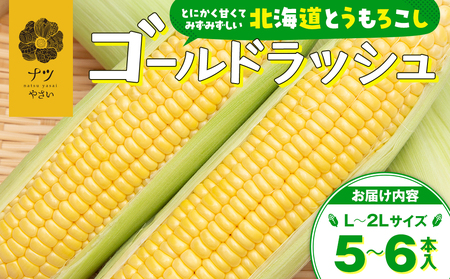 【先行受付】R8年産 トウモロコシ（ゴールドラッシュ） 5本から6本 ピンクの八百屋 ナツやさい | とうもろこし トウモロコシ ゴールドラッシュ 旬 新鮮 野菜 夏 甘い 産地直送 北海道 津別町 送料無料 