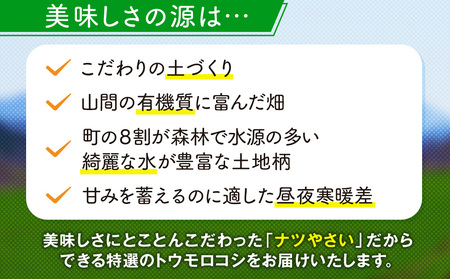 【先行受付】R8年産 トウモロコシ（ゴールドラッシュ） 5本から6本 ピンクの八百屋 ナツやさい | とうもろこし トウモロコシ ゴールドラッシュ 旬 新鮮 野菜 夏 甘い 産地直送 北海道 津別町 送料無料 