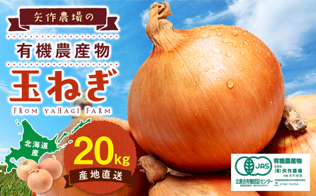 R7年産 有機農産物 玉ねぎ 20kg ㈲矢作農場 | 玉ねぎ たまねぎ タマネギ 玉葱 大容量 オニオン 甘い 有機栽培 国産 産地直送 カレー ハンバーグ 煮込み 炒め物 北海道 津別町 送料無料