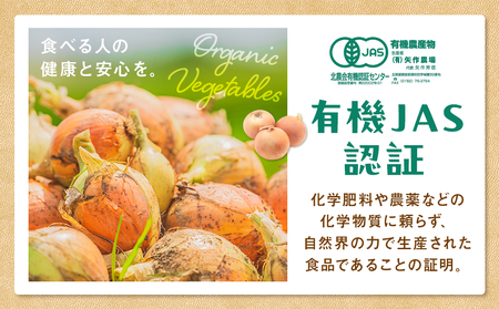 R7年産 有機農産物 玉ねぎ 20kg ㈲矢作農場 | 玉ねぎ たまねぎ タマネギ 玉葱 大容量 オニオン 甘い 有機栽培 国産 産地直送 カレー ハンバーグ 煮込み 炒め物 北海道 津別町 送料無料