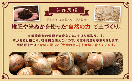 R7年産 有機農産物 玉ねぎ 20kg ㈲矢作農場 | 玉ねぎ たまねぎ タマネギ 玉葱 大容量 オニオン 甘い 有機栽培 国産 産地直送 カレー ハンバーグ 煮込み 炒め物 北海道 津別町 送料無料