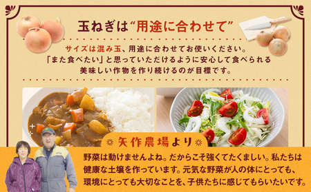 R7年産 有機農産物 玉ねぎ 20kg ㈲矢作農場 | 玉ねぎ たまねぎ タマネギ 玉葱 大容量 オニオン 甘い 有機栽培 国産 産地直送 カレー ハンバーグ 煮込み 炒め物 北海道 津別町 送料無料