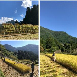 純米酒「谷瀬」の酒粕アイス　6個入り【配送不可地域：離島】【1296413】