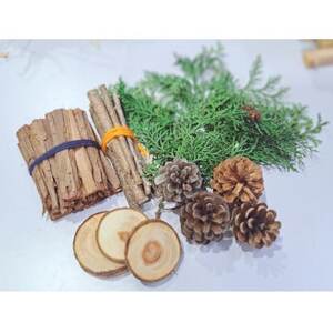 森のめぐみ(天然着火剤)【1508029】