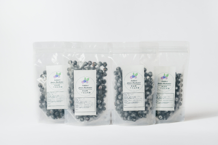 8月上旬～順次発送　栽培期間中農薬不使用 としちゃんのブルーベリー 300gx4 手摘み 下北山村産