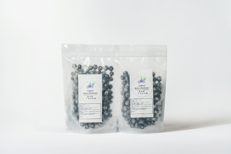 8月上旬～順次発送 栽培期間中農薬不使用 としちゃんのブルーベリー 300gx2 手摘み 下北山村産