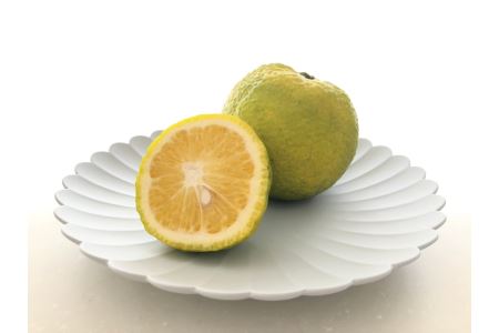 奈良下北山村 じゃばら生搾り 300mlx1本 じゃばら果汁100％ 柑橘 奈良下北山村育ちのジャバラ 