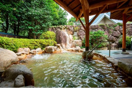 宿舎やすらぎ うめの間 和室8畳 奈良 下北山村 ペア宿泊券 1泊2食付き きなりの湯入浴券付 旅行 温泉