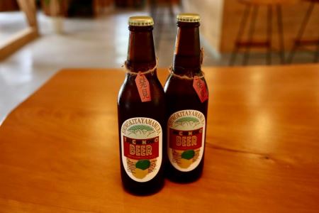 【下北山村 クラフトビール】奈良下北山村育ちのジャバラ IPA ツチノコビール 2本 クラフトビール 酒 じゃばら 柑橘 ギフト