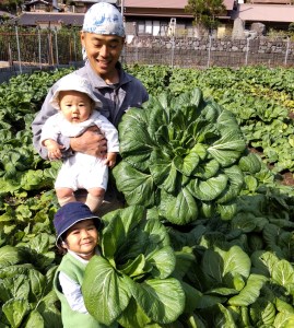 【自然栽培】大和の伝統野菜 下北春まな1kg 草野自然農園 国産野菜